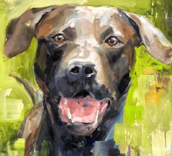 Tiere