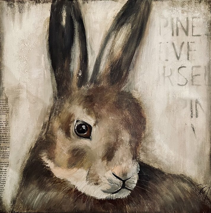 Hase
